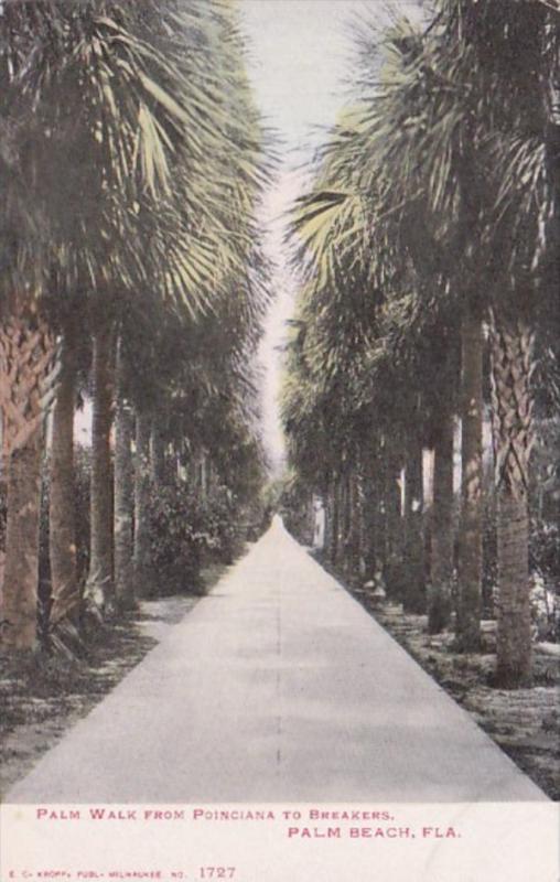 Florida Palm Beach Palm Walk From Poinciana To Breakers