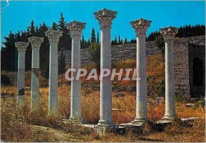 Postcard Modern Cos Asclepieion Temple of Apollo