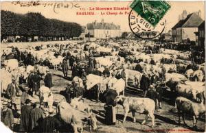 CPA Le Morvan Illustre - SAULIEU - Le Champ de Foire (586314)