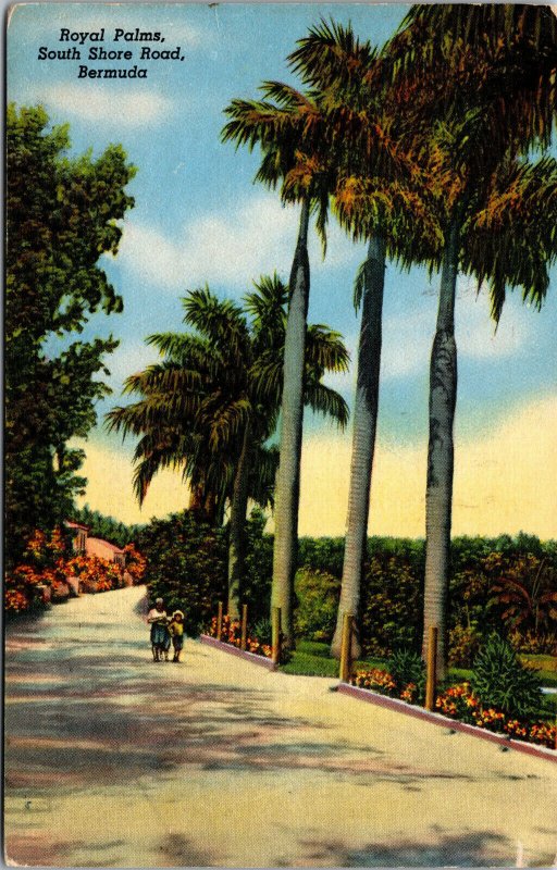 Vtg 1950s Royal Palms South Shore Road Bermuda Postcard