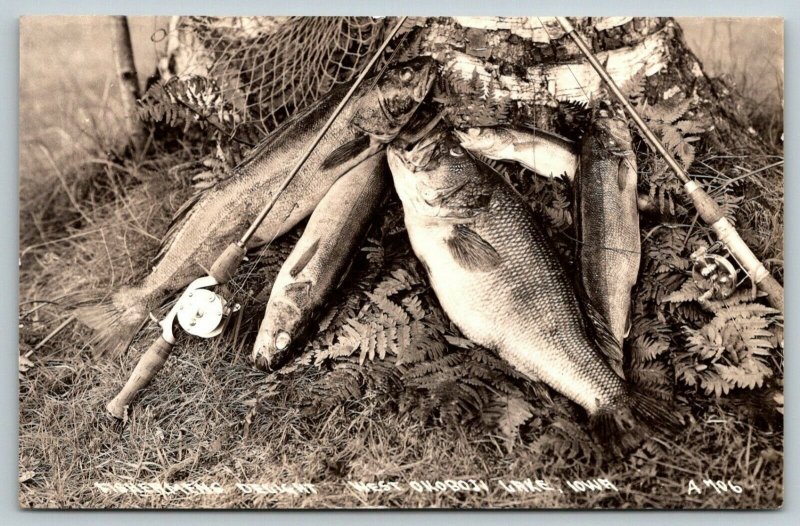 Wet Okoboji Lake Iowa~Fisherman's Catch~Large Mouth Bass~Walleye~Rods~1940s RPPC 