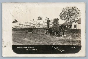 EXAGGERATED CORN ILLINOIS FARM SCENE ANTIQUE REAL PHOTO POSTCARD RPPC montage