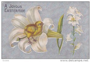EASTER; A Joyous Easter-tide, Chick in Lilly, Silver background, 00-10s
