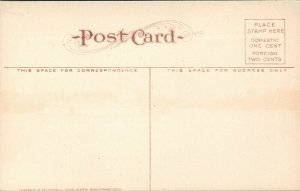 Vtg 1910s Willamette River and Steel Bridge Steamer Albany Oregon OR Postcard