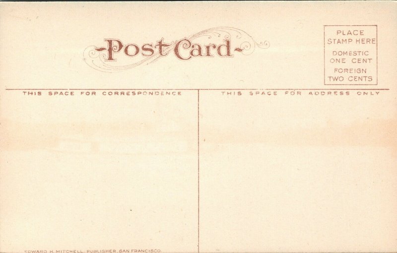 Vtg 1910s Willamette River and Steel Bridge Steamer Albany Oregon OR Postcard