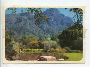 441450 South Africa Cape Town RPPC in Germany 