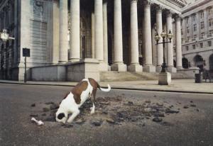 Dog Digging IN TARMAC Bone Roadside Hole UNIQUE London Photo Agency Art Postcard