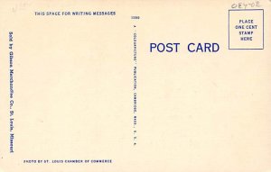 Happy, The Giant Panda St Louis, Missouri, USA Bear Postcard