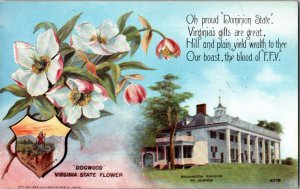 Virginia State Flower Dogwood Antique Postcard KJ8