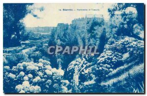 Old postcard Biarritz Hydrangeas and tamarisk