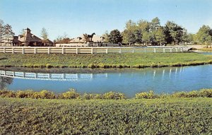 Kentucky horse Park Lexington Kentucky  