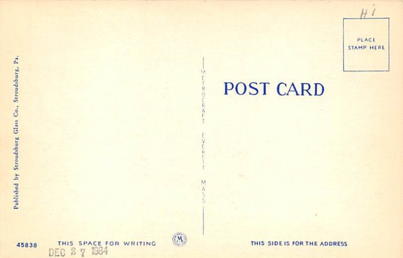 Mountain Laurel in Bloom  Pocono Mountains, Pennsylvania PA