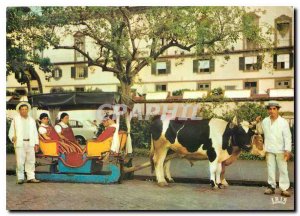 Modern Postcard Funchal Madeira Carro de Bois