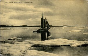 Labrador Newfoundland & Labrador Sailboat Cape Harrison Vintage Postcard