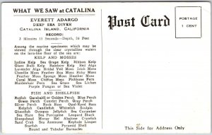 Everett Adargo Deep Sea Diver Catalina Island California CA Postcard