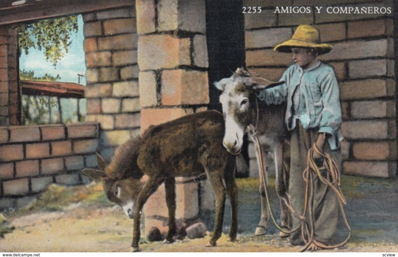 Amigos Y Companeros, Two Donkeys and a Boy, 1930-40s