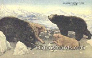 Alaska Brown Bear Unused 