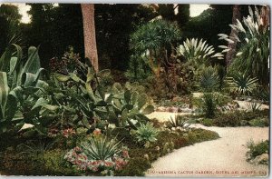 Arizona Cactus Garden, Hotel Del Monte, Cal. Postcard P122 