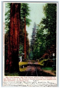 1907 Big Tree Grove Station Train Railroad Santa Cruz California CA Postcard