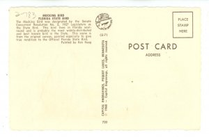 Birds - Florida State Bird, Mockingbird