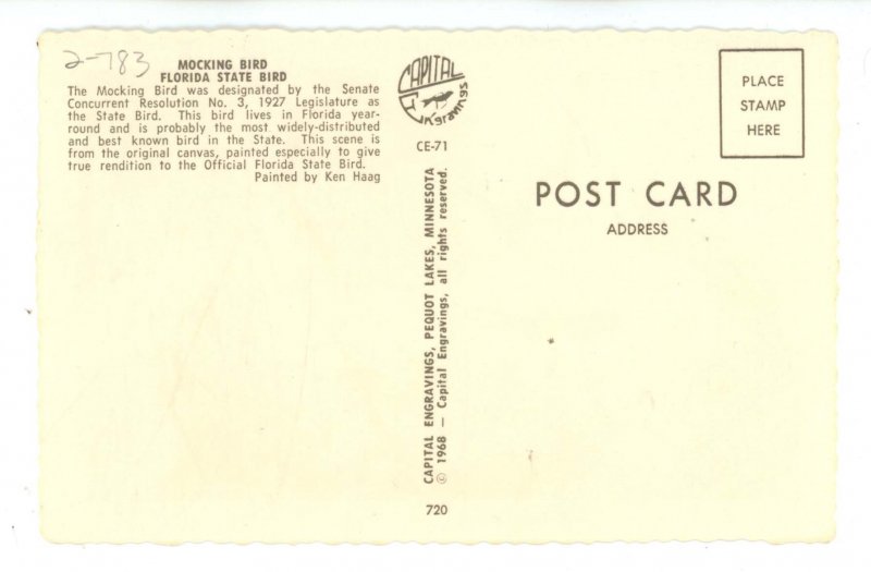 Birds - Florida State Bird, Mockingbird