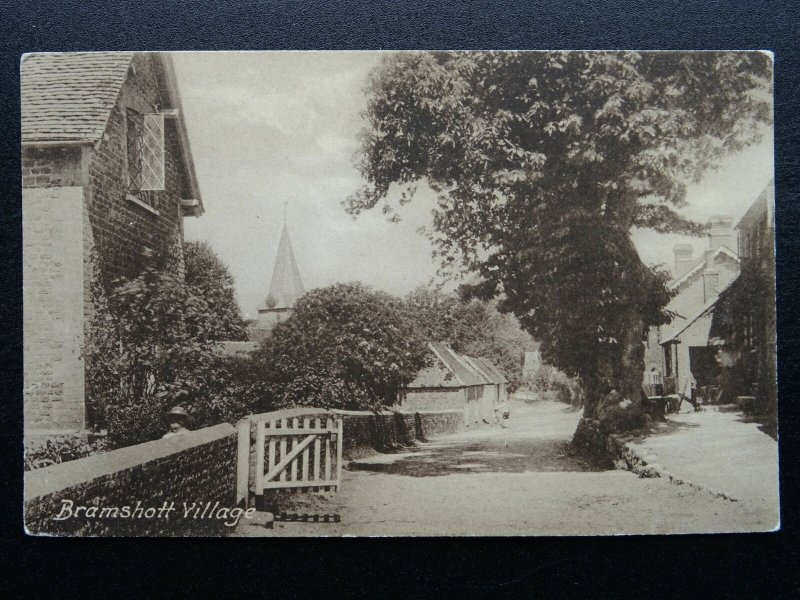 East Hampshire BRAMSHOTT VILLAGE Church Land c1905 Postcard by Frith