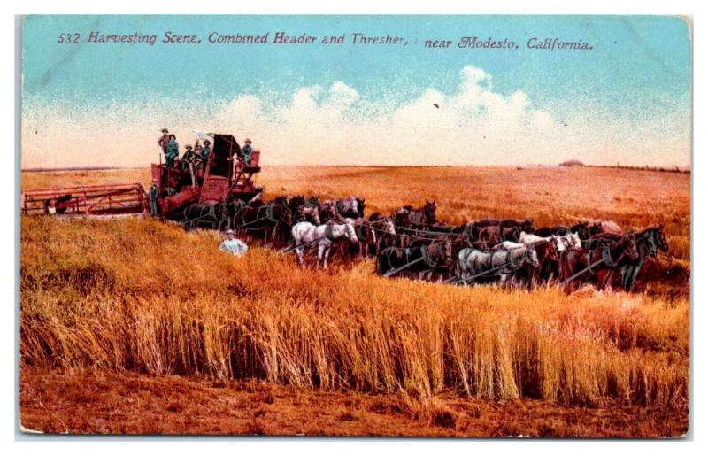 Harvesting Scene, Combined Header and Thresher near Modesto, CA Postcard *5E1