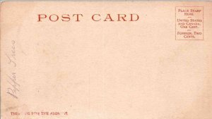 Pasadena, California - Tree lined Marengo Avenue - c1905