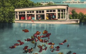 Vintage Postcard International Attraction Fish Play Football Silver Springs FL