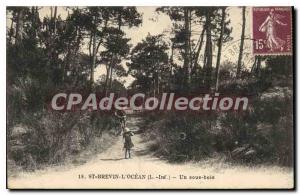 Postcard Old St Brevin L Ocean Inf A undergrowth