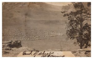 Vintage Wyoming Bird' Eye View Flock Of Sheep Valley Post Card - A5 