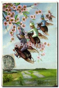 Old Postcard Insects