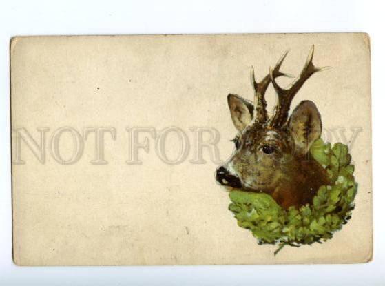 167418 HUNT Head of DEER Art Nouveau Vintage TSN PC