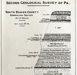 Coal Outcrops 1876 Geological Survey South Beaver County Penn Victorian DWAA3C