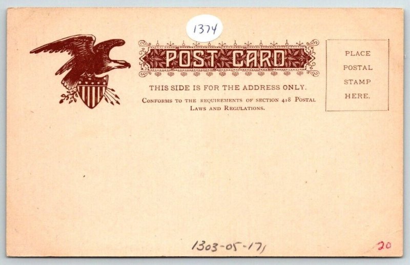 Capitol Building   Albany, New York  c1907  Postcard