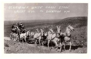 RPPC Postcard Schibner White Horse Carriage Walcot Wyoming to Sarasota