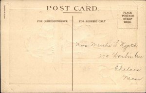 VALENTINE Boy Writes Letter While Dog Looks On CHALKBOARD BORDER c1910