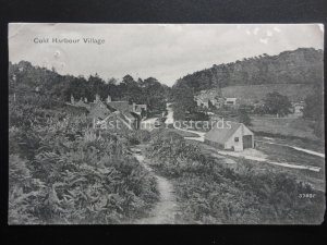 Surrey COLDHARBOUR Village View c1904 Old Postcard