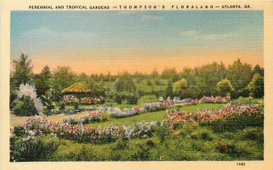 Atlanta Georgia Perennial Gardens Thompson's Floraland Asheville Postcard 6279