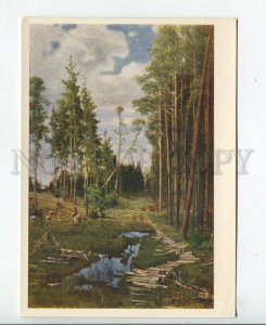 457278 USSR 1956 year Savrasov clearing in a pine forest old postcard