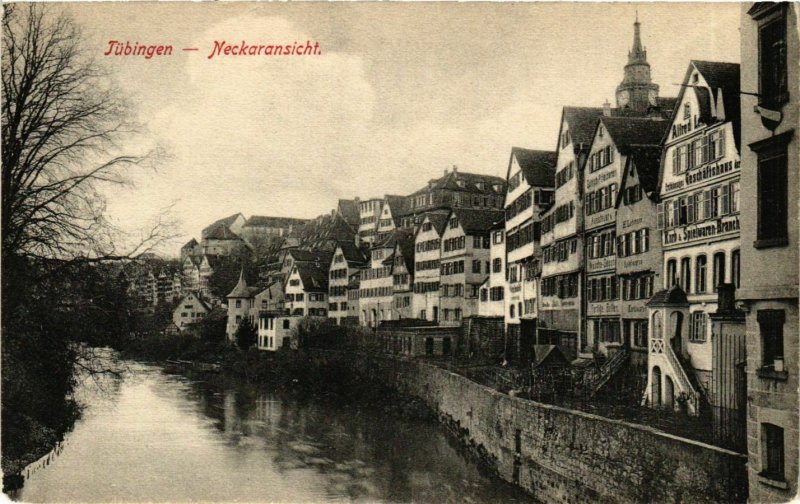 CPA AK Tubingen Neckaransicht GERMANY (938103)