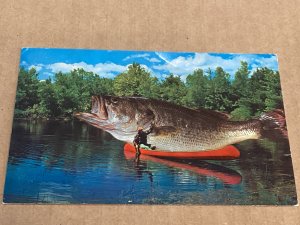 1959 Erskine Minnesota Fish The Big One Got Away Canoe Fisherman Chrome Glossy
