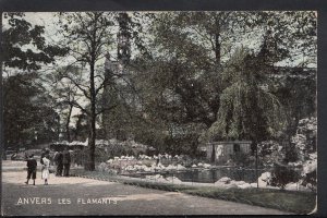 Belgium Postcard - Anvers Les Flamants   BB862