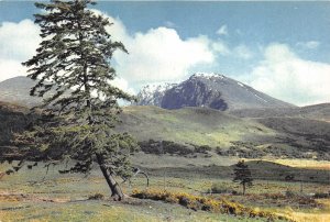 uk47238 ben nevis  north east face fort william inverness shire  scotland uk