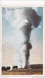 Giant Geyser Yellowstone National Park