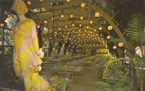 Florida Clearwater Kapok Tree Inn The Florida Room Is A Giant Arbor Supportin...