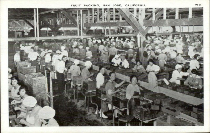 San Jose CA Fruit Packing Labor Work Agriculture Postcard