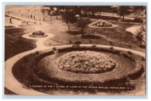 A Corner Of The 7 Acres Of Lawn Sugar Maples Maplecrest New York NY Postcard