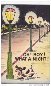 Comic, Dog Going Through A Hard Time, Light Poles, Oh! Boy! What A Night!, ...