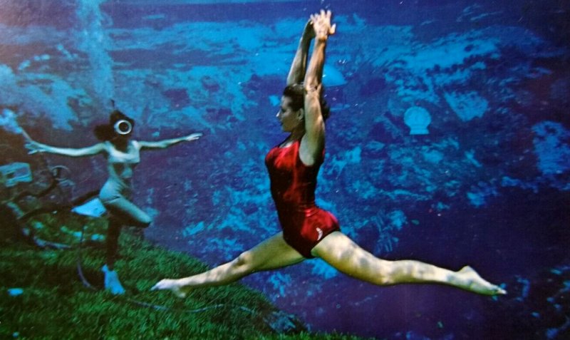 Weeki Wachee Mermaids Florida Postcard Lady Underwater Doing Split Show Chrome